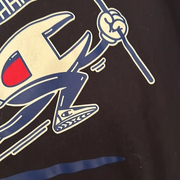 Lot of 2 CHAMPION T-SHIRTS🏆One Black & One Soft Green⭐️Almost LIKE NEW! Mens Lg - Picture 8 of 12